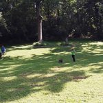 In The Fairway On Hole 12