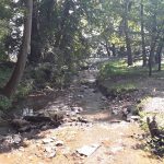 Kline's Run