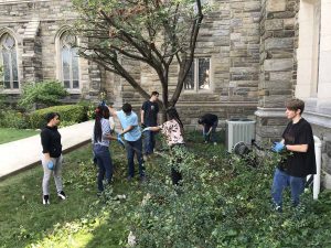 York Robothon participants doing community service picking up trash and weeding the outside of Asbury UMC